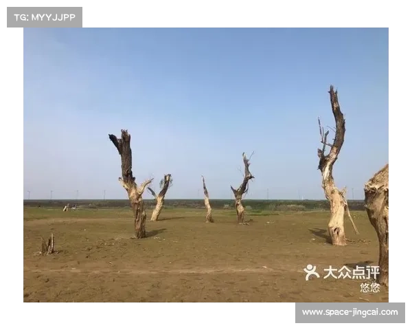 胡杨林赛事设四大组别总长五十八点五公里成功入选全国精品骑行线路